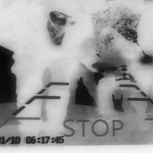 Ploh (feat. Blooodie) (Explicit)