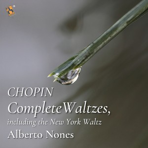 Alberto Nones - Waltz in E-Flat Major, B. 133