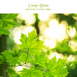 Carpe Diem (카르페디엠) (Carpe Diem (Carpe Diem))