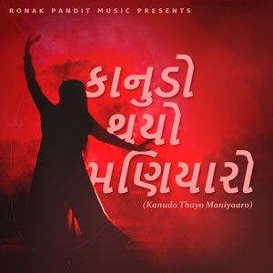 Kanudo Thayo Maniyaro(Garba Mashup)