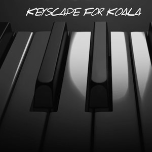 KeysCape For Koala