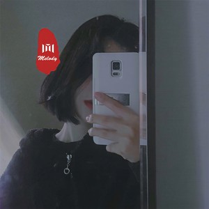 忘情号 (DJ版)
