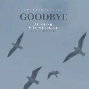 Goodbye (feat. Q Muzik)