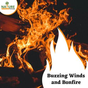 Open Steady Campfire