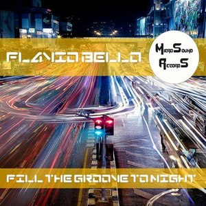 Fill the Groove to Night (Original Mix)