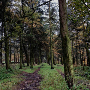 clueless II (feat. hexd) (Explicit)