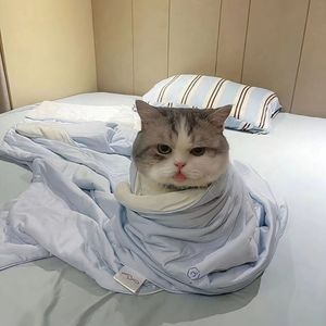 奇思妙想喜羊羊-林凡