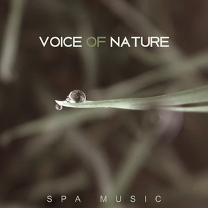 Voice of Nature – Spa Music, Healing Massage, Relax and Positive Thoughts