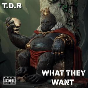 What they want (Explicit)