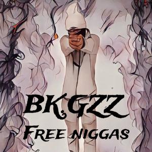 Free niggas (Explicit)