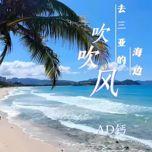 去三亚的海边吹吹风