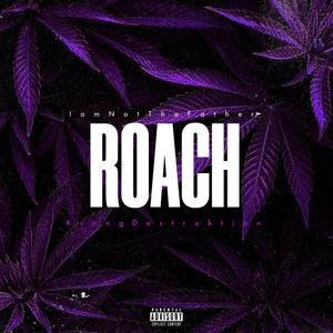 Roach (Explicit)