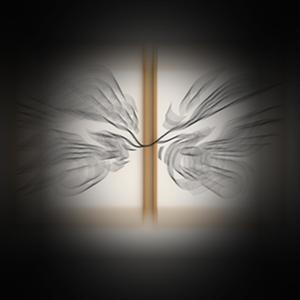 Left in the Shadow (Radio Edit)