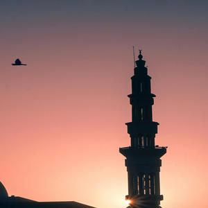 There's only one thing we can try now