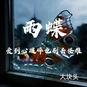 雨蝶（爱到心破碎也别去怪谁）