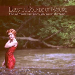 Blissful Sounds of Nature: Relaxing Moods and Natural Sounds for Deep Sleep