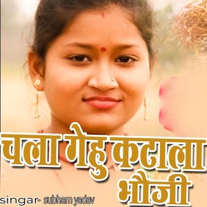 Chla Gehu Ktala Bhauji