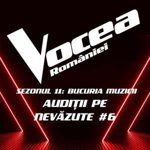 Vocea României: Audiții pe nevăzute #6 (Sezonul 11 - Bucuria Muzicii) (Live)