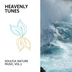 Heavenly Tunes - Soulful Nature Music, Vol.1