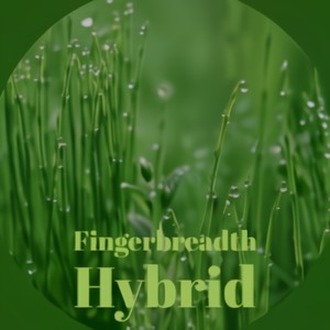 Fingerbreadth Hybrid