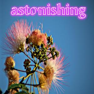 Astonishing (feat. Constantine) (Explicit)