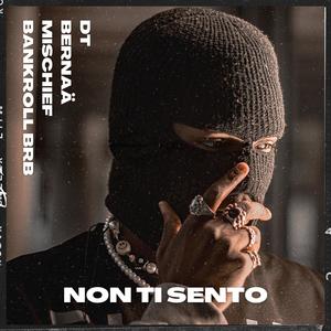 Non Ti Sento (Explicit)