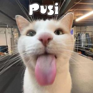 PUSI (Explicit)
