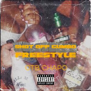 Shot Off Gumbo Freestyle (Explicit)