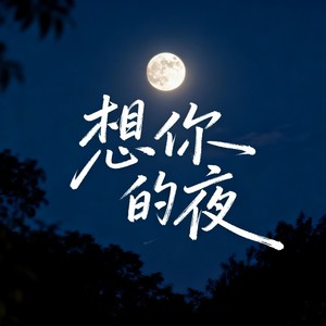 想你的夜 (beyonce版)