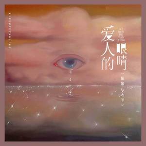 爱人的眼睛 (是第八大洋)封面