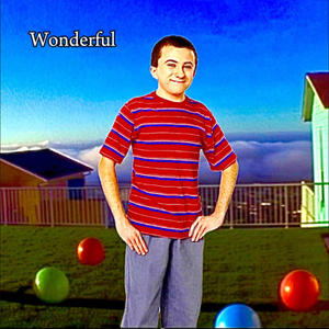 wonderful (feat. janu4ryss) (Explicit)