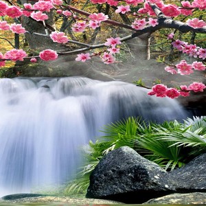 阿爸阿妈