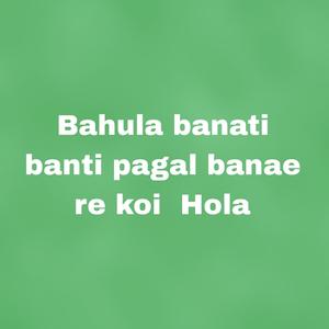 Bahula banati banti pagal banae re koi Hola