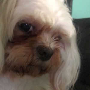 what are u gonna be in 10 years