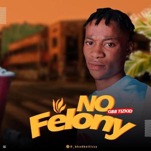 No Felony (Explicit)