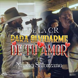 Para Olvidarme De Tu Amor (feat. Nacho Solorzano)