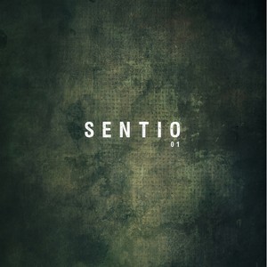 Wondering (Bonus Track) (Original Mix)