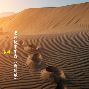 老司机带带我 (特别版)