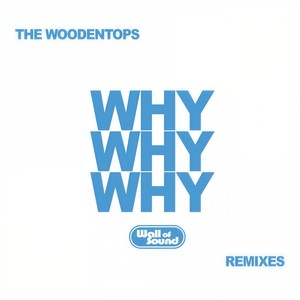 Why Why Why (Justin Strauss & Bryan Mette Whatever/Whatever Remix)