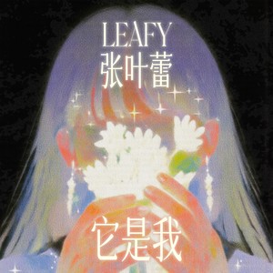 它是我