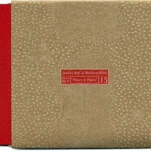 Pulses & Places 3