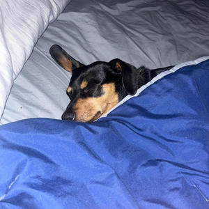 Like A *****Slade (Explicit)