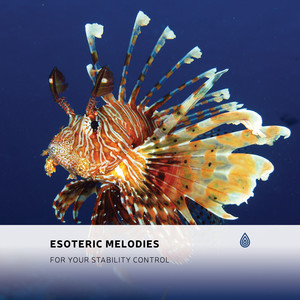 Yao Zen - Chilling Asiatic Wind Relax