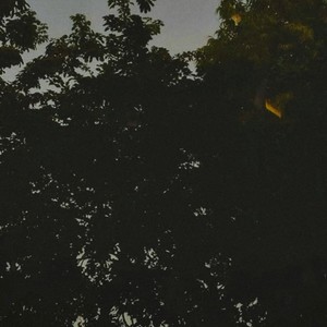 vices (Slowed & Reverb)