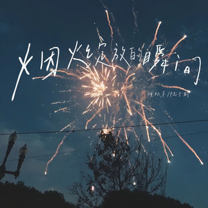 烟火绽放的瞬间(3D环绕)