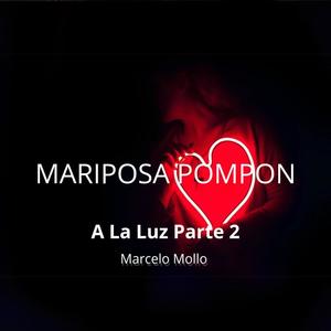 Mariposa Pompon