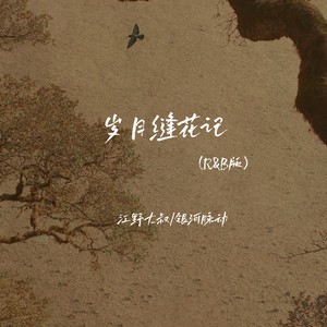 岁月缝花记 (R&B版)封面