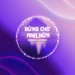 Đừng Chờ Anh Nữa (LinhLee Remix)