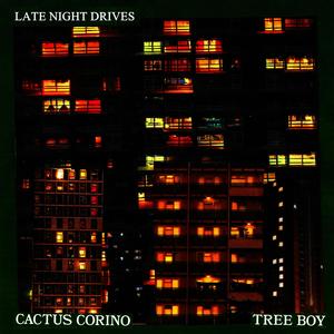 Late Night Drives (Explicit)