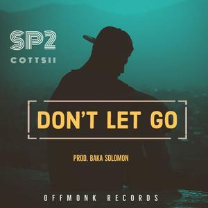 Don't Let Go (feat. Cottsii)